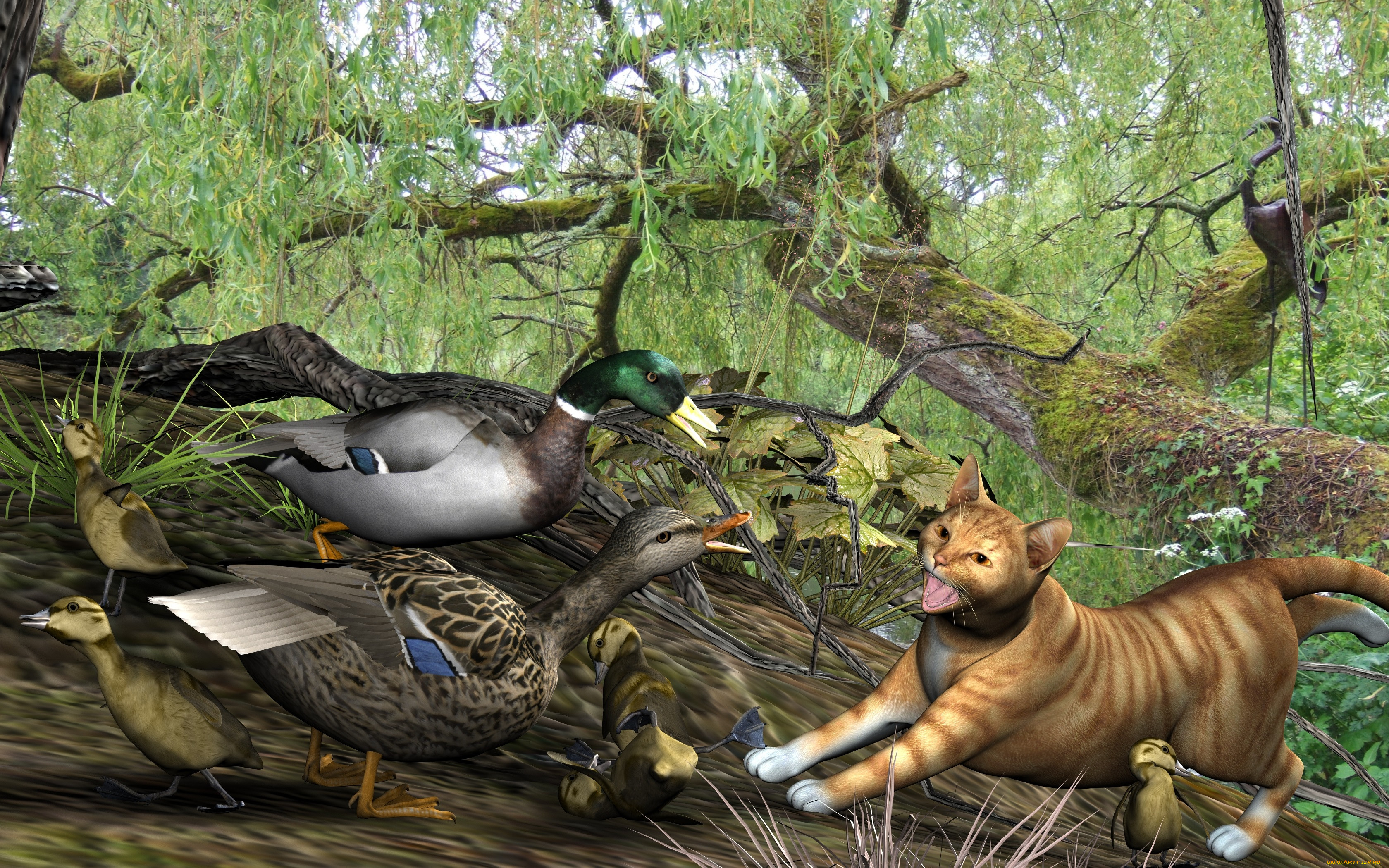 3 ,  , animals, , 